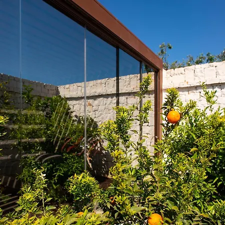 Mirror Trullo And Mirror House 奥斯图尼