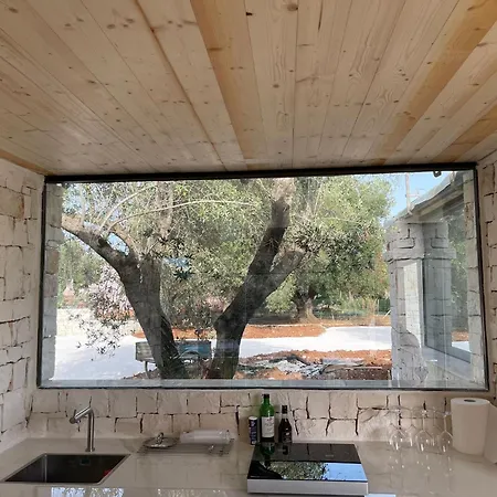 Дом отдыха Mirror Trullo And Mirror House